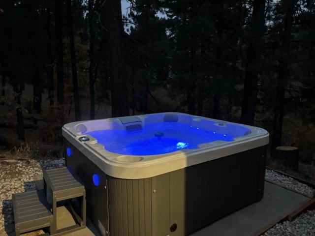 Snow Bunny Lodge - Perfect Big Bear Getaway! Deck With A New Hot Tub And Charcoal Barbecue! 大熊湖 外观 照片